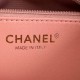 CHANEL Medallion Tote Bag Classic Vintagep Hilton Bag AS1804