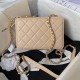 Chanel Lambskin Camera Case Bag AS4817