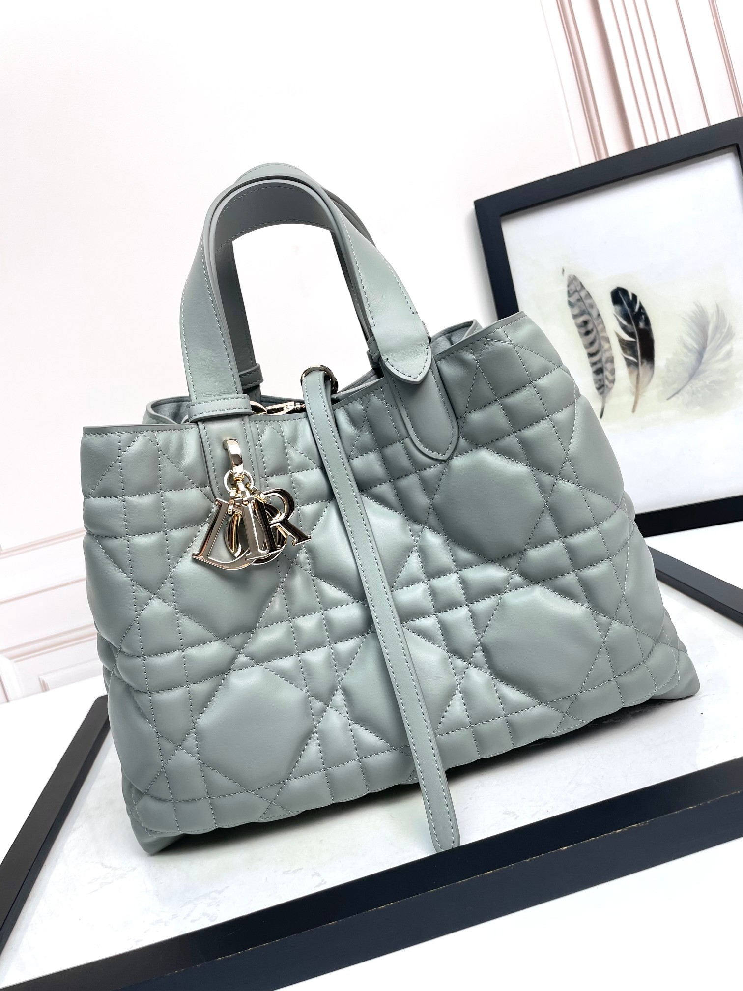 Dior Toujours Bag Medium Milk White M2821