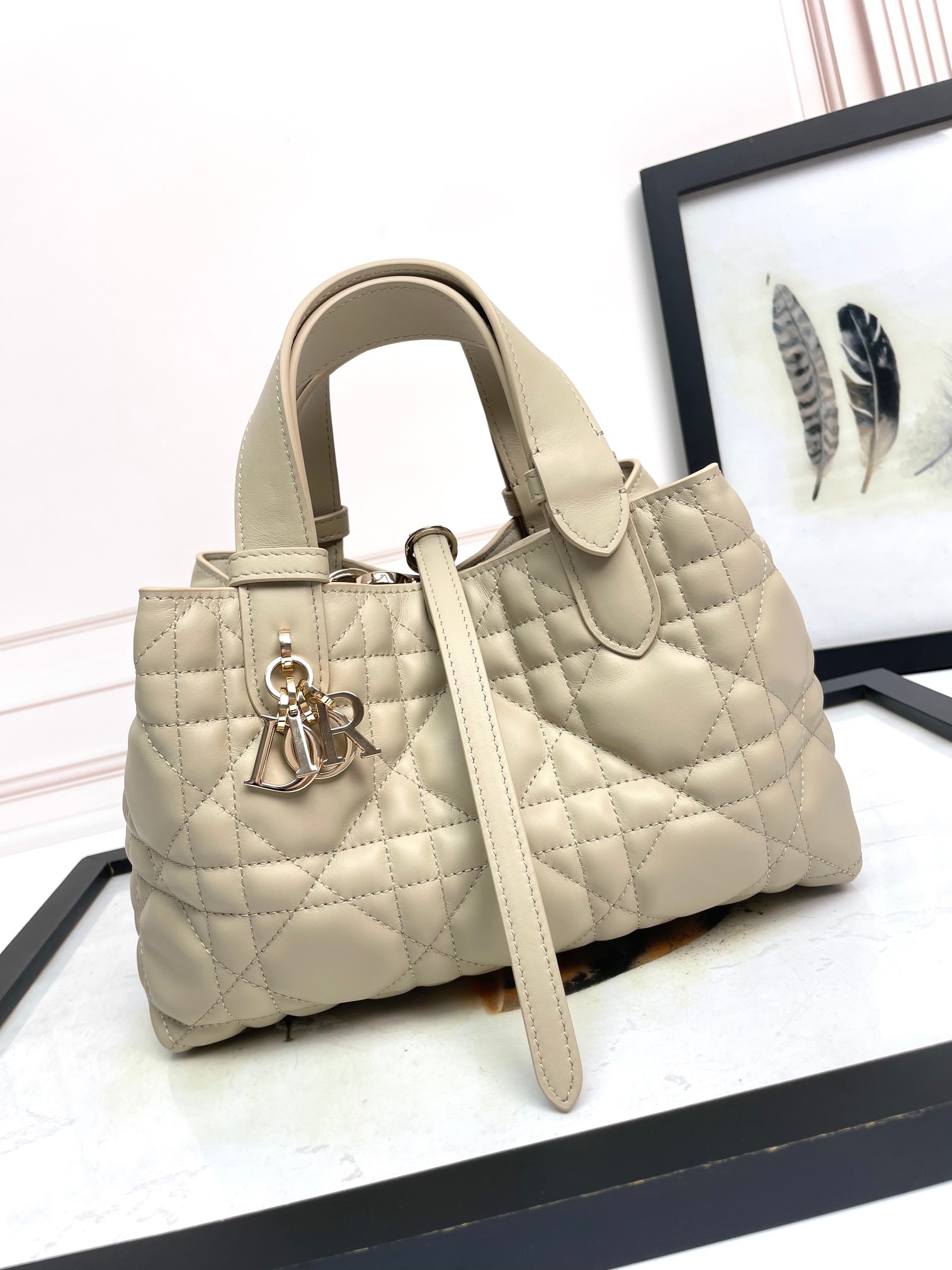 Dior Toujours Bag Medium Milk White M2821