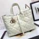 Dior Toujours Bag Medium Milk White M2821