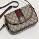 Gucci Ophidia GG Mini Shoulder Bag Canvas 772239