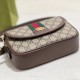 Gucci Ophidia GG Mini Shoulder Bag Canvas 772239