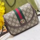 Gucci Ophidia GG Mini Shoulder Bag Canvas 772239