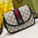 Gucci Ophidia GG Mini Shoulder Bag Canvas 772239