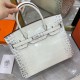 Hermès Birkin 25 Women Bag Silver Buckle Hermes 