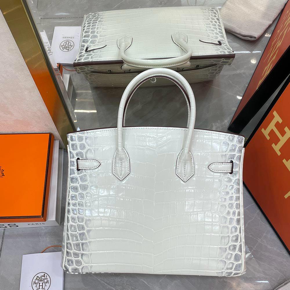 Hermès Birkin 25 Women Bag Silver Buckle Hermes 