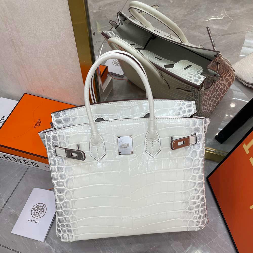 Hermès Birkin 25 Women Bag Silver Buckle Hermes 