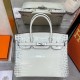 Hermès Birkin 25 Women Bag Silver Buckle Hermes 