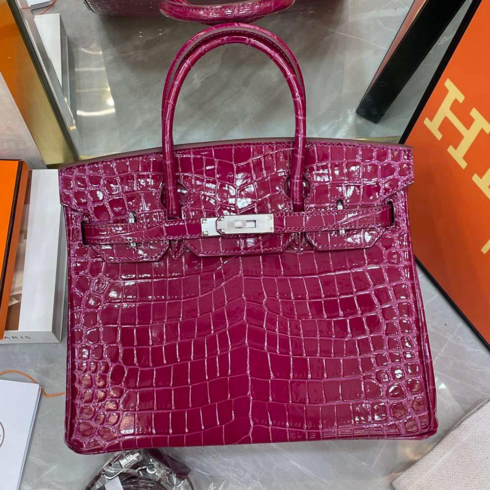 Hermès Birkin 25 Women Bag Silver Buckle Hermes 