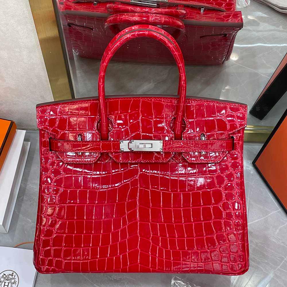 Hermès Birkin 25 Women Bag Silver Buckle Hermes 