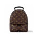 Louis Vuitton Palm Springs Mini Monogram Canvas Handbags M44873