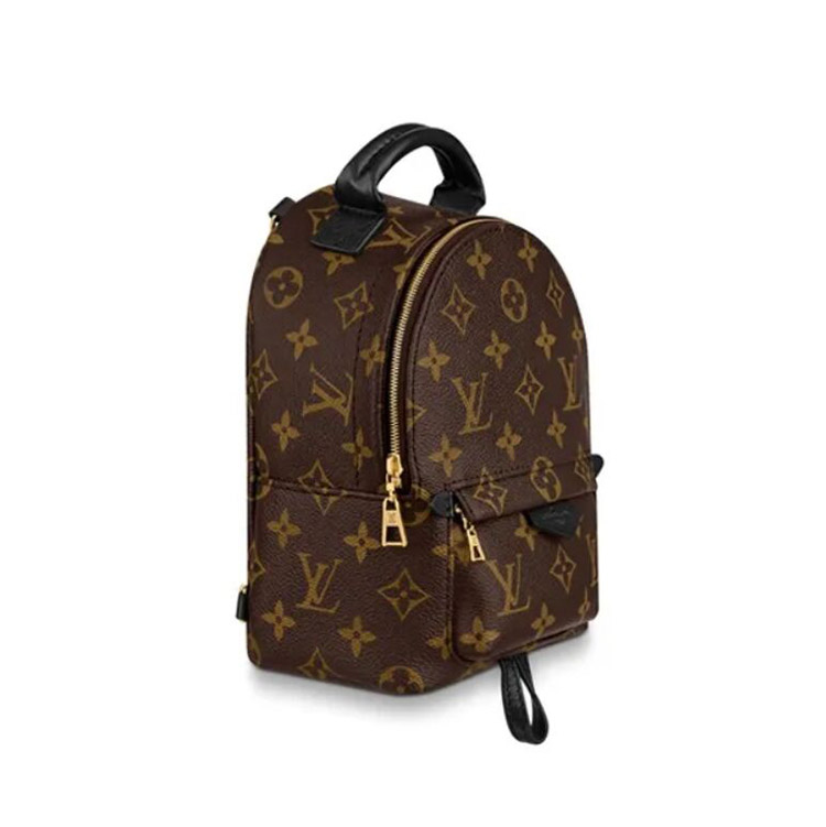 Louis Vuitton Palm Springs Mini Monogram Canvas Handbags M44873