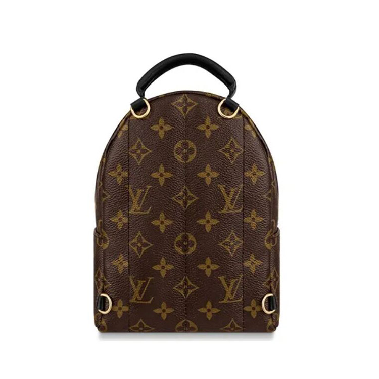 Louis Vuitton Palm Springs Mini Monogram Canvas Handbags M44873