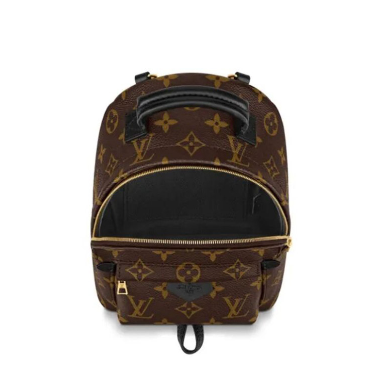 Louis Vuitton Palm Springs Mini Monogram Canvas Handbags M44873