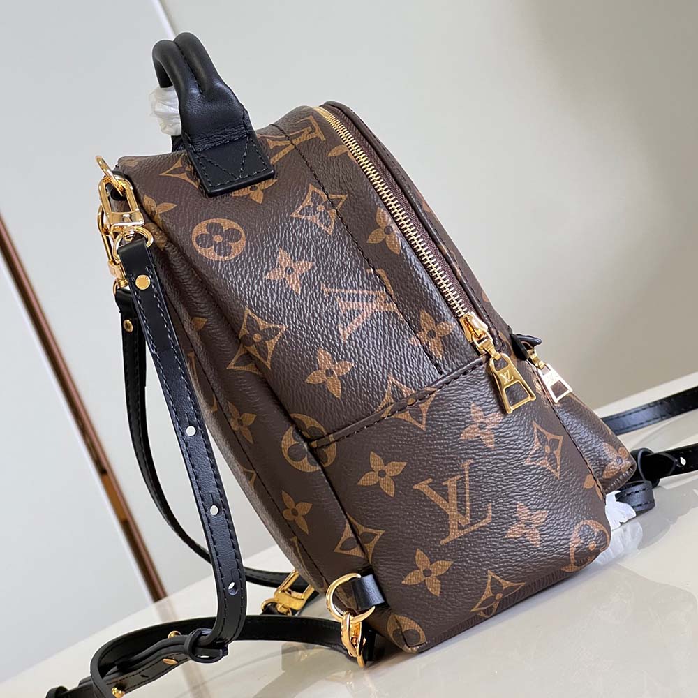 Louis Vuitton Palm Springs Mini Monogram Canvas Handbags M44873