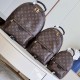 Louis Vuitton Palm Springs Mini Monogram Canvas Handbags M44873